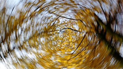 Veranstaltungsbild