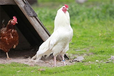 Veranstaltungsbild