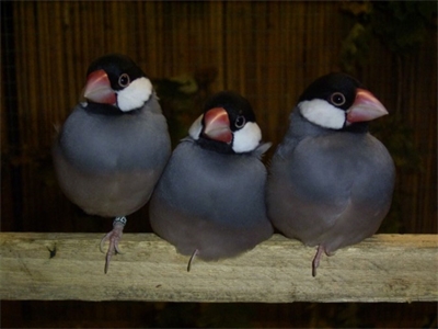 Veranstaltungsbild